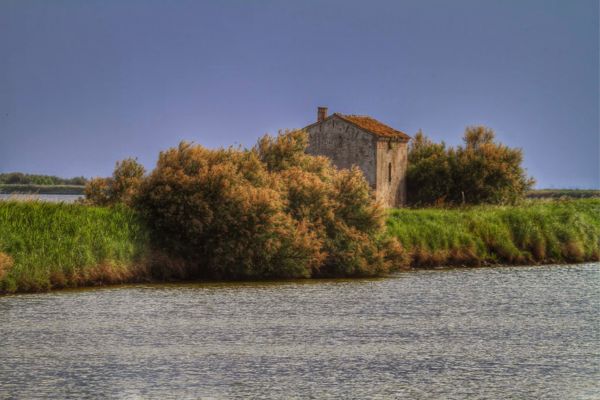 Valli di Comacchio - Parco Nazionale del Delta del Po