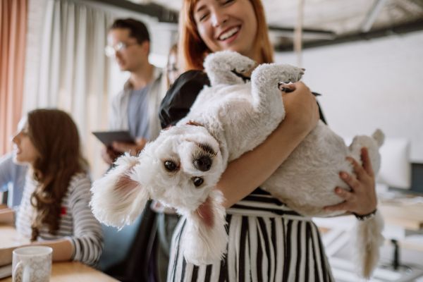 hotel pet firendly nei lidi ravennati