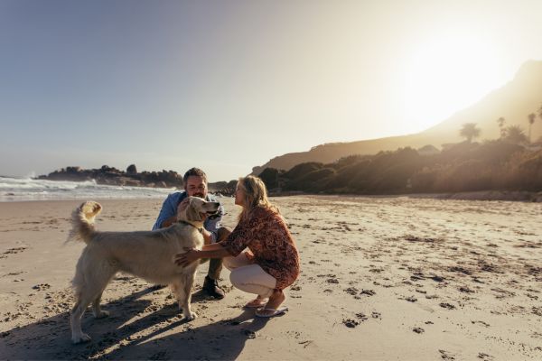 vacanze con animali a lidi ravennati