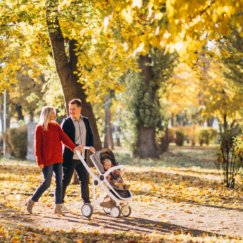 Cosa fare in autunno a Ravenna